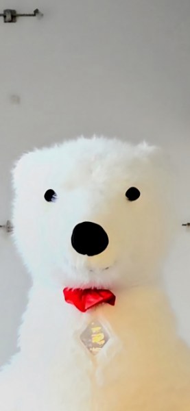 Karu 2 277x600 1